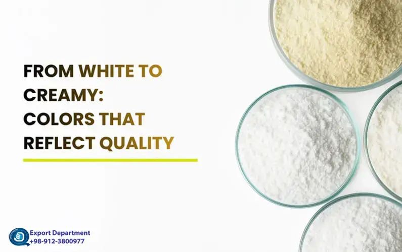 اكتشف لون ومظهر المساحيق المختلفة المشتقة من الحليب